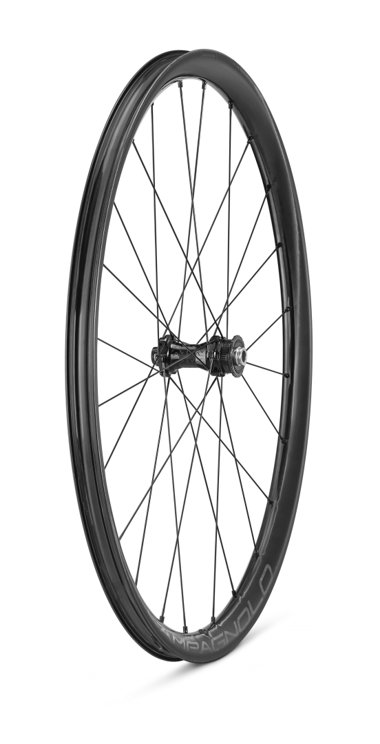Campagnolo Levante Wielset