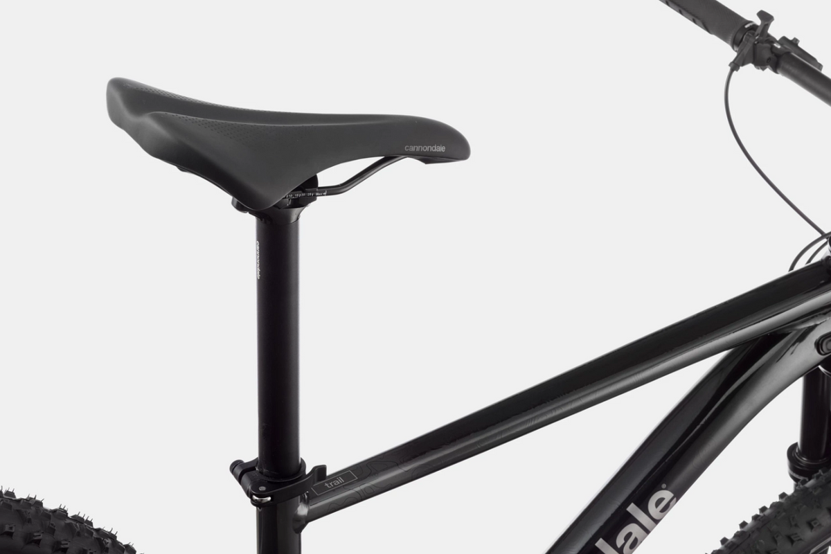 Cannondale Trail SL3