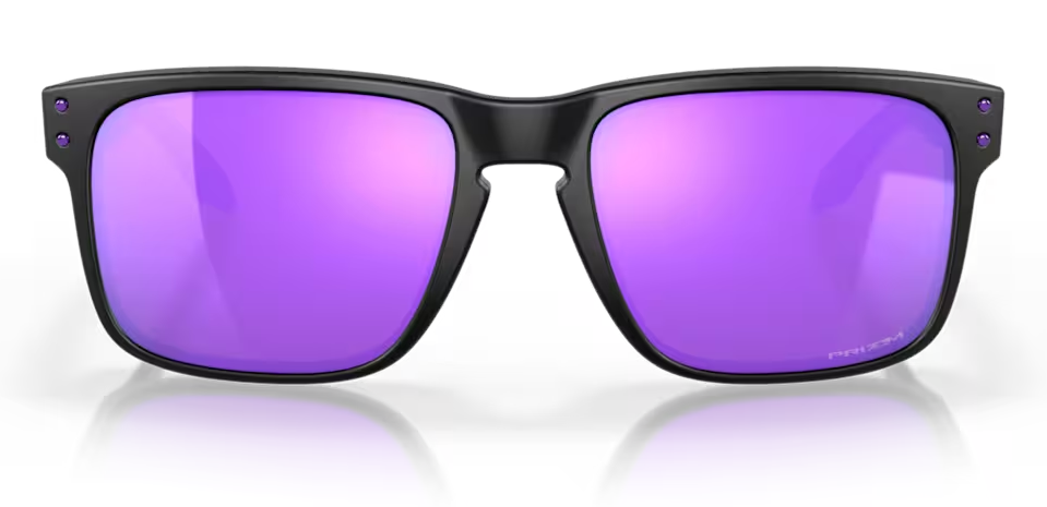 Oakley Holbrook Fietsbril