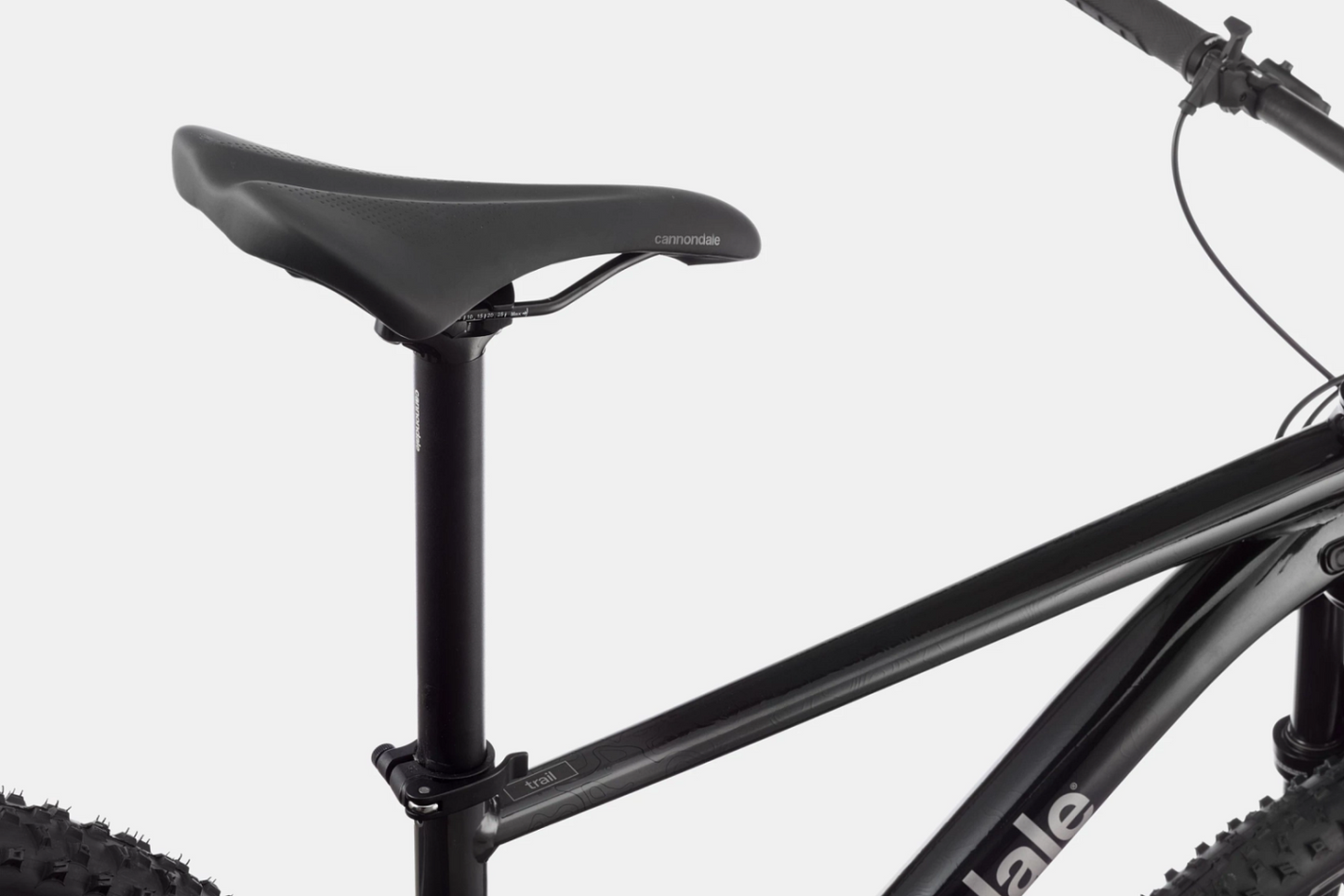 Cannondale Trail SL3