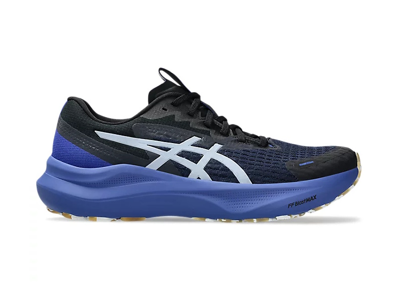 Asics GT 2000 14 Lite-Show Heren Hardloopschoenen