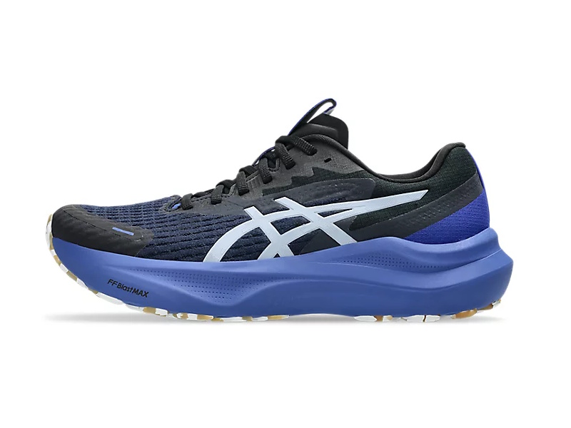 Asics GT 2000 14 Lite-Show Heren Hardloopschoenen