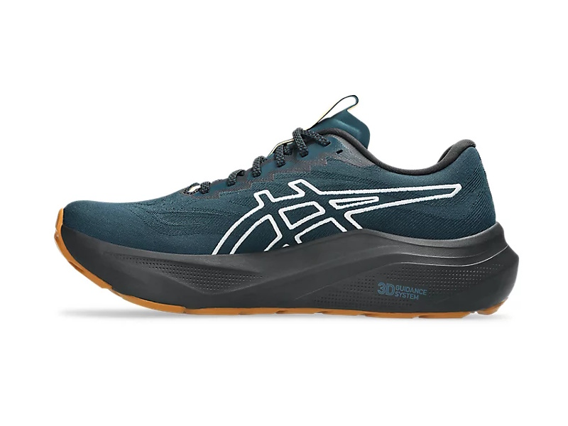 Asics GT 2000 14 TR Heren Hardloopschoenen