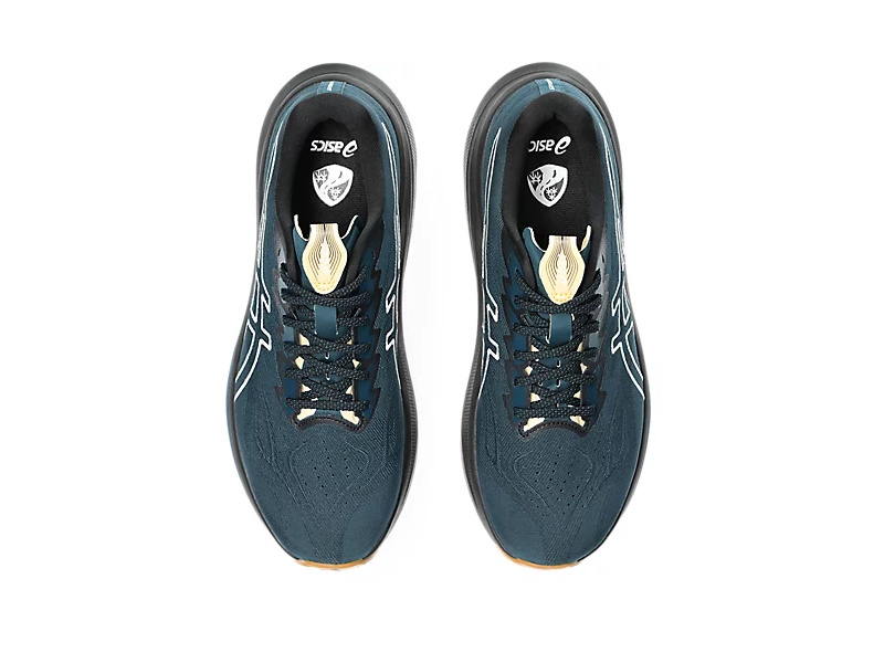 Asics GT 2000 14 TR Heren Hardloopschoenen