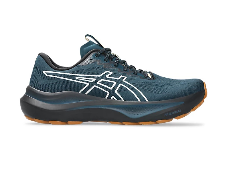 Asics GT 2000 14 TR Heren Hardloopschoenen
