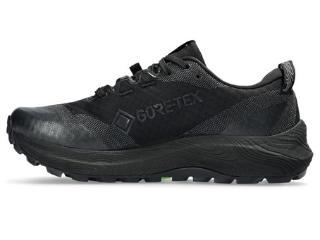 Asics Trabuco 12 GTX Dames Trailschoenen