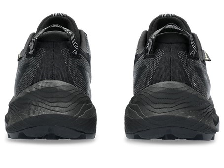 Asics Trabuco 12 GTX Dames Trailschoenen