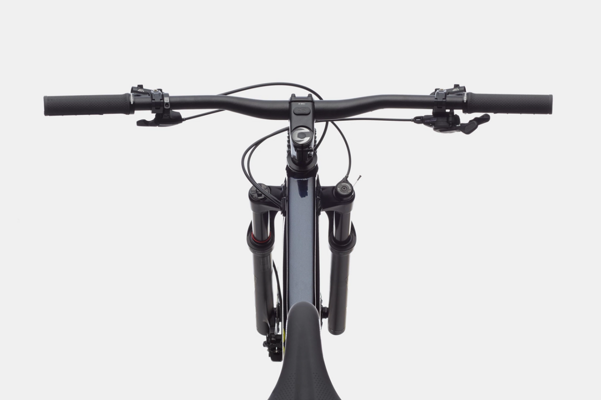 Cannondale Trail SL 2