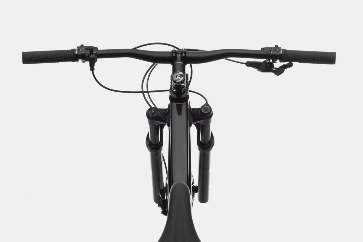 Cannondale Trail SL3