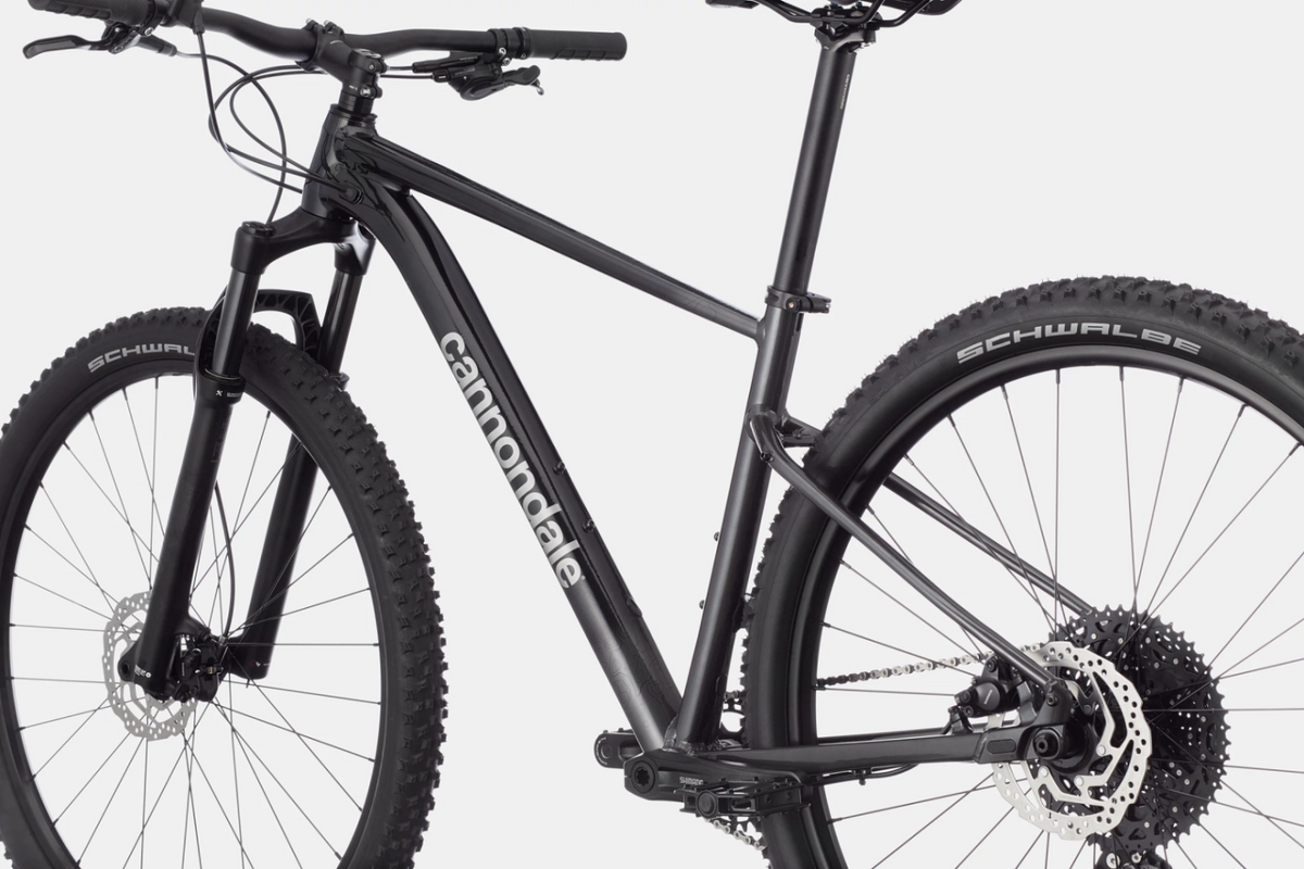 Cannondale Trail SL3