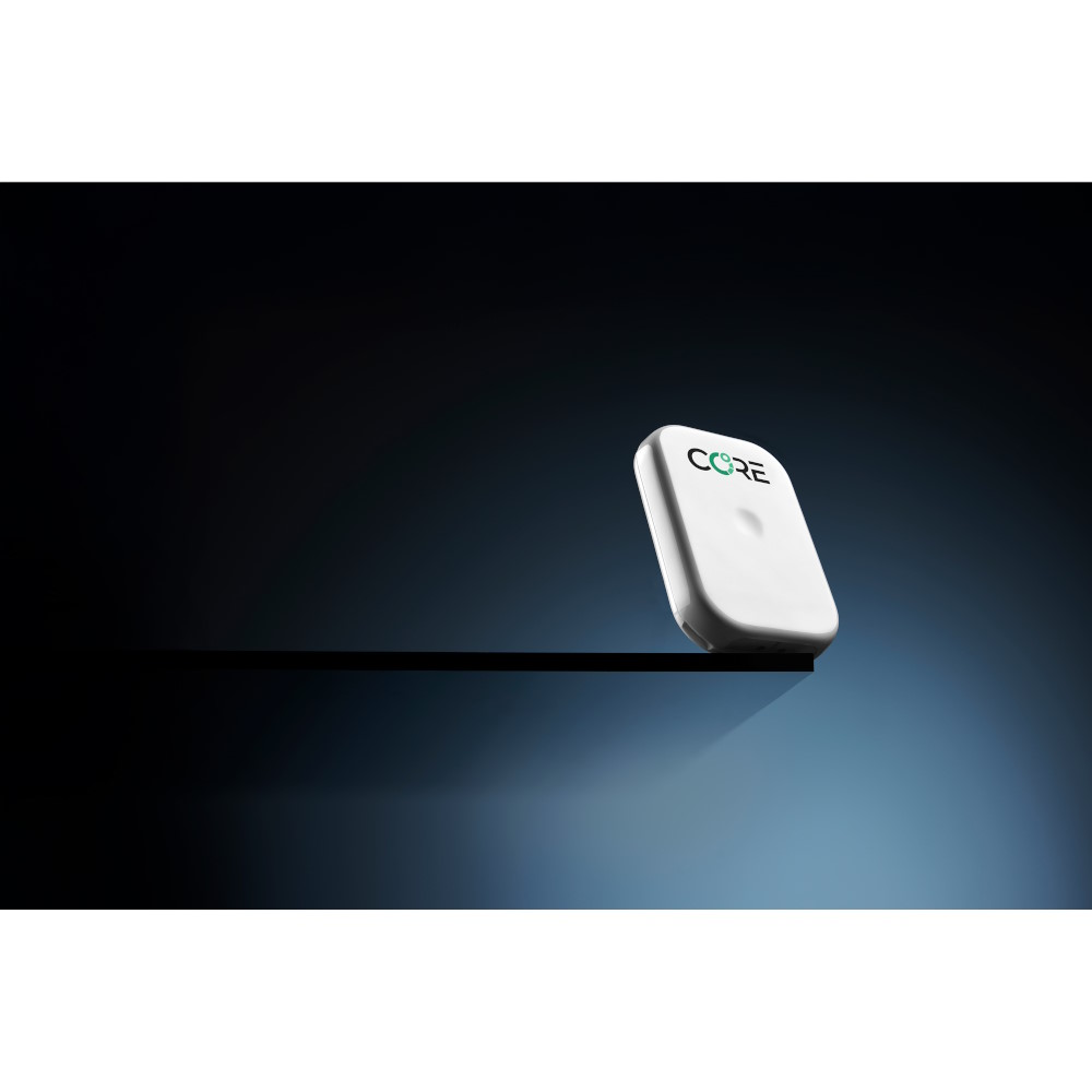 Core 2 Thermal Sensor