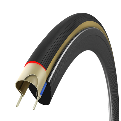 Corsa Pro Speed TLR