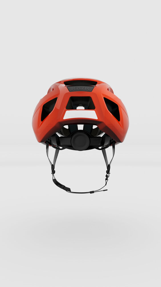 Kask Sintesi