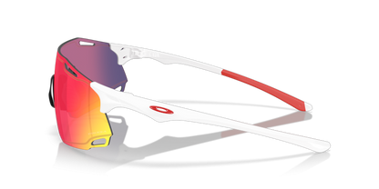 Oakley Cybr DYNO