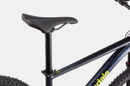 Cannondale Trail SL 2