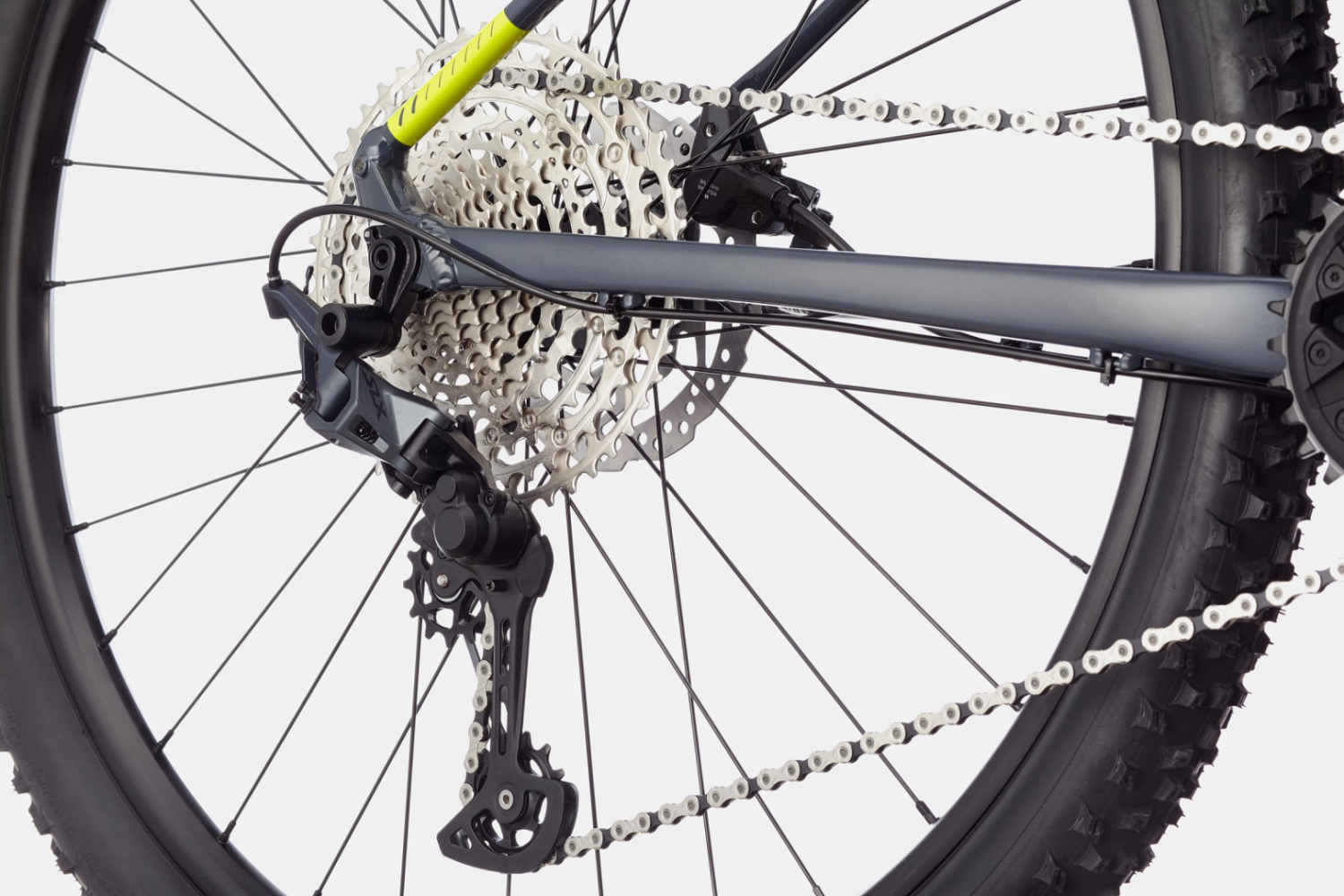Cannondale Trail SL 2