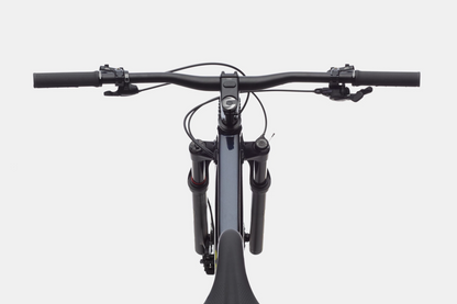 Cannondale Trail SL 2