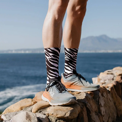 ZigZocks ZigZebra